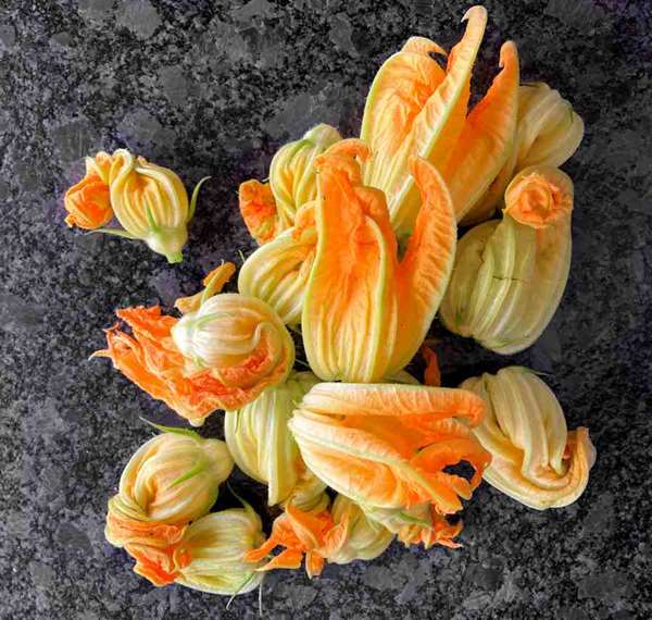 Fried Courgette Flowers Recipe Cuisine Fiend